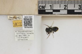 Media type: image;   Entomology 785945 Aspect: Labels